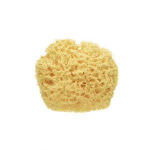 ESPONJA NATURAL MARINA SARO