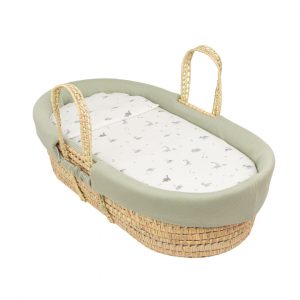 COLCHA + ALMOHADA CAPAZO TREX BIMBIDREAMS